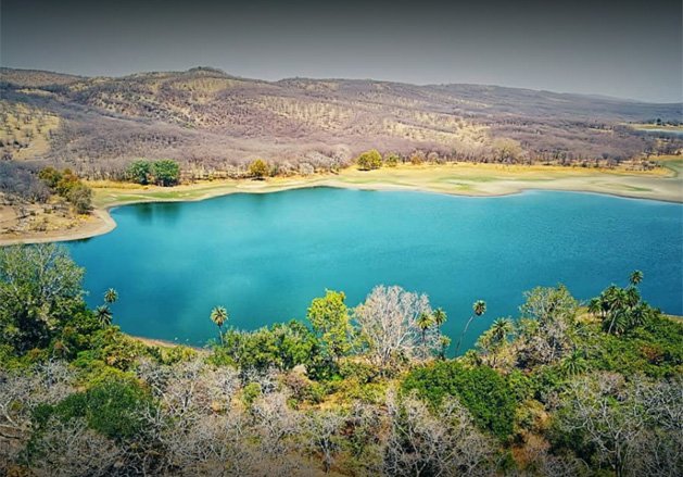 Image showing Ranthambore Natural Park Oasis